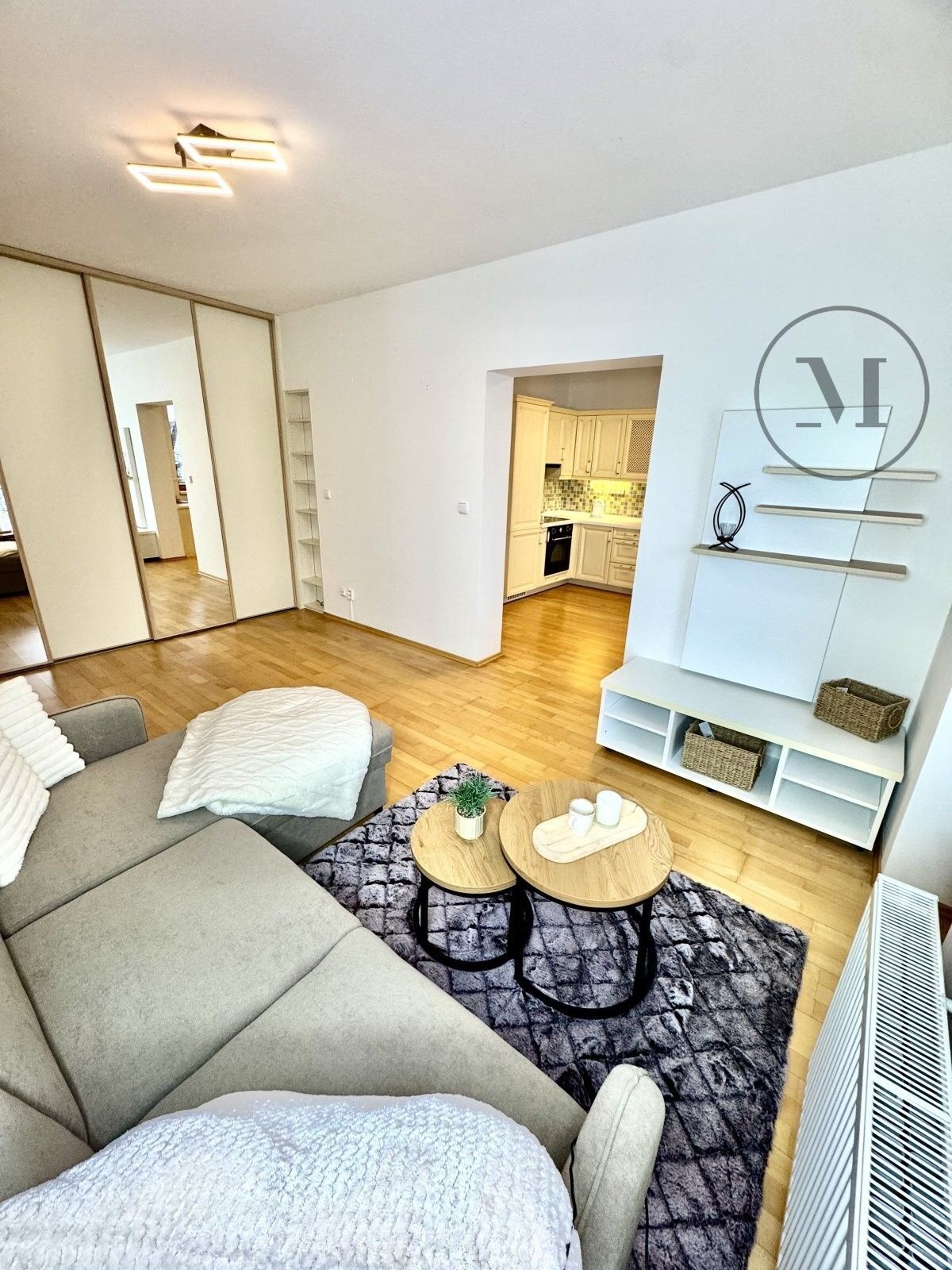 Pronájem byt 1+1 - Riegrova, České Budějovice, 59 m²