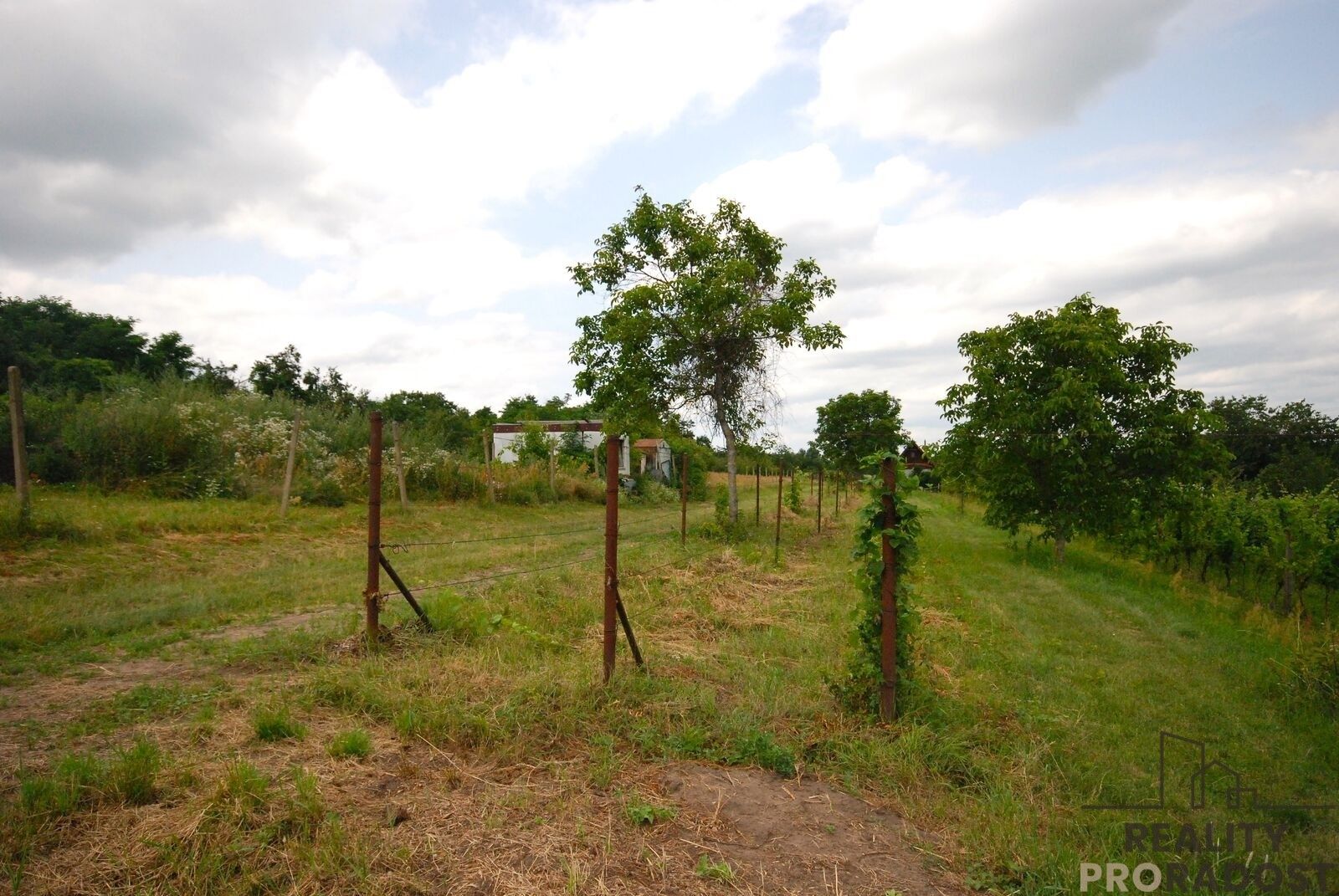 Nemovitost · 15 m² · Břeclav - 3