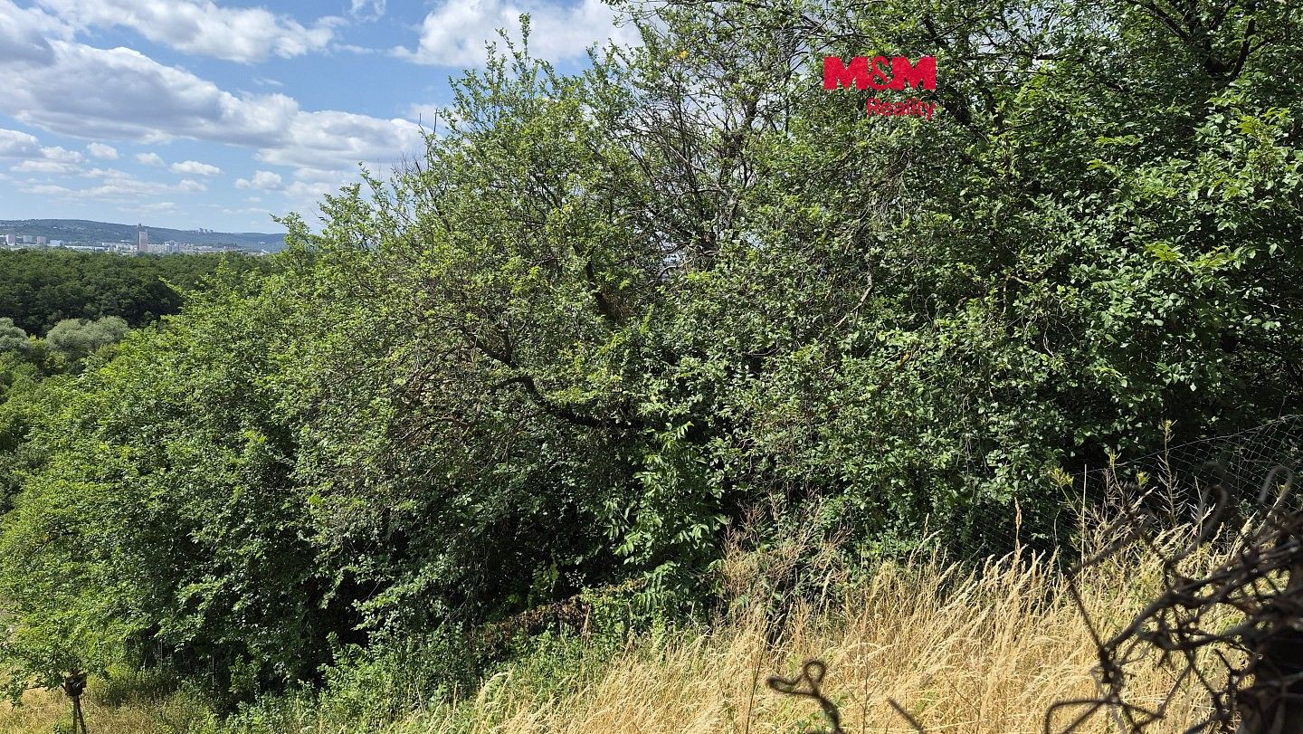 Zahrady, Brno - Brněnské Ivanovice, okres Brno-město, Jihomoravský kraj