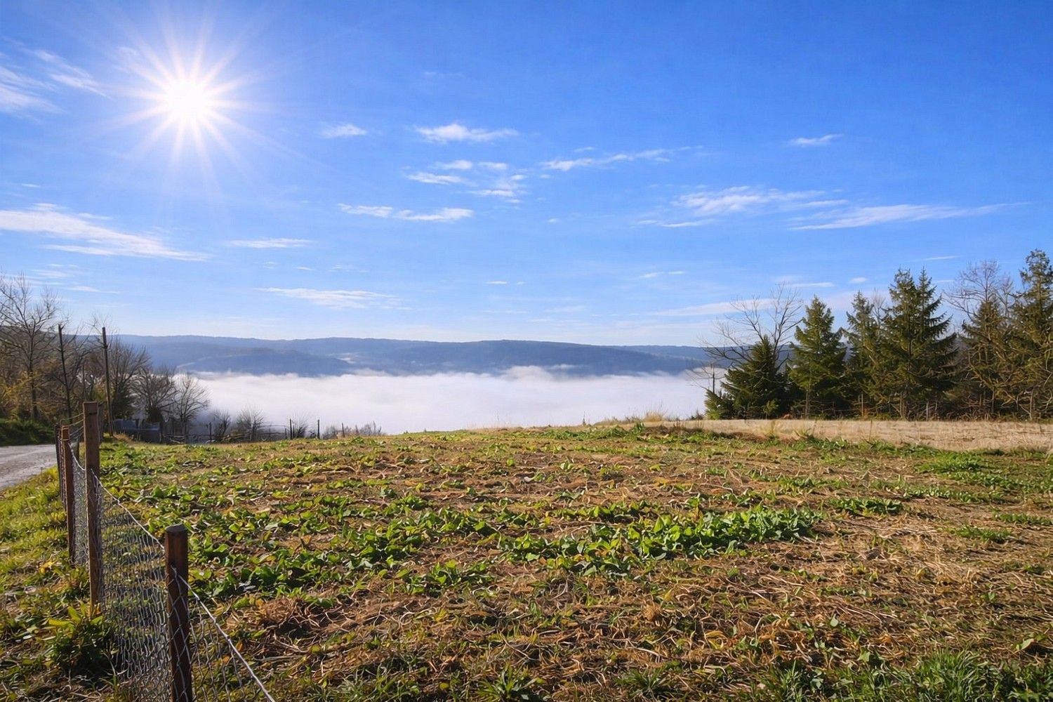 Prodej pozemek pro bydlení - Motovun, HR - 2