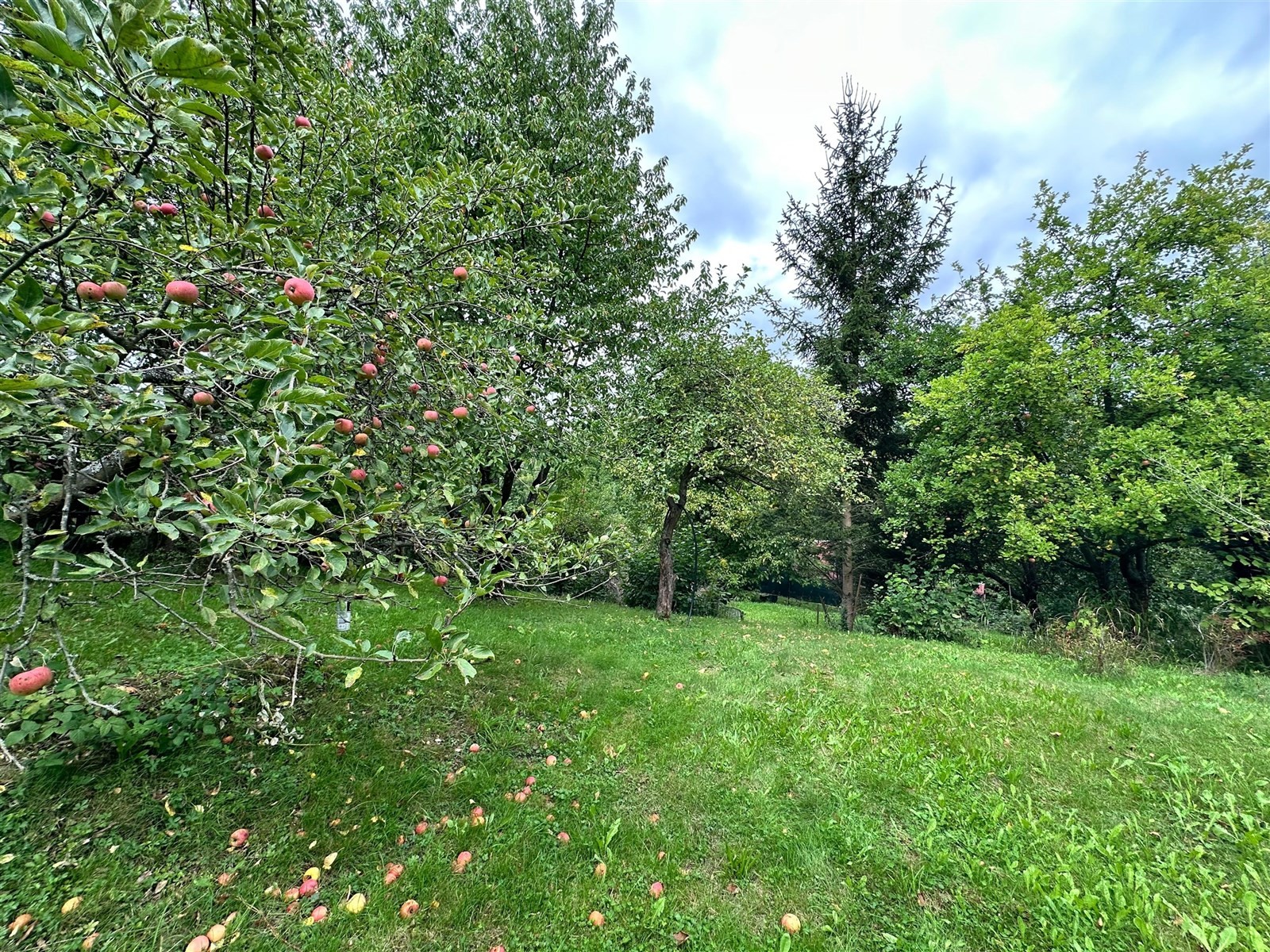Zahrada · Děčín - 4
