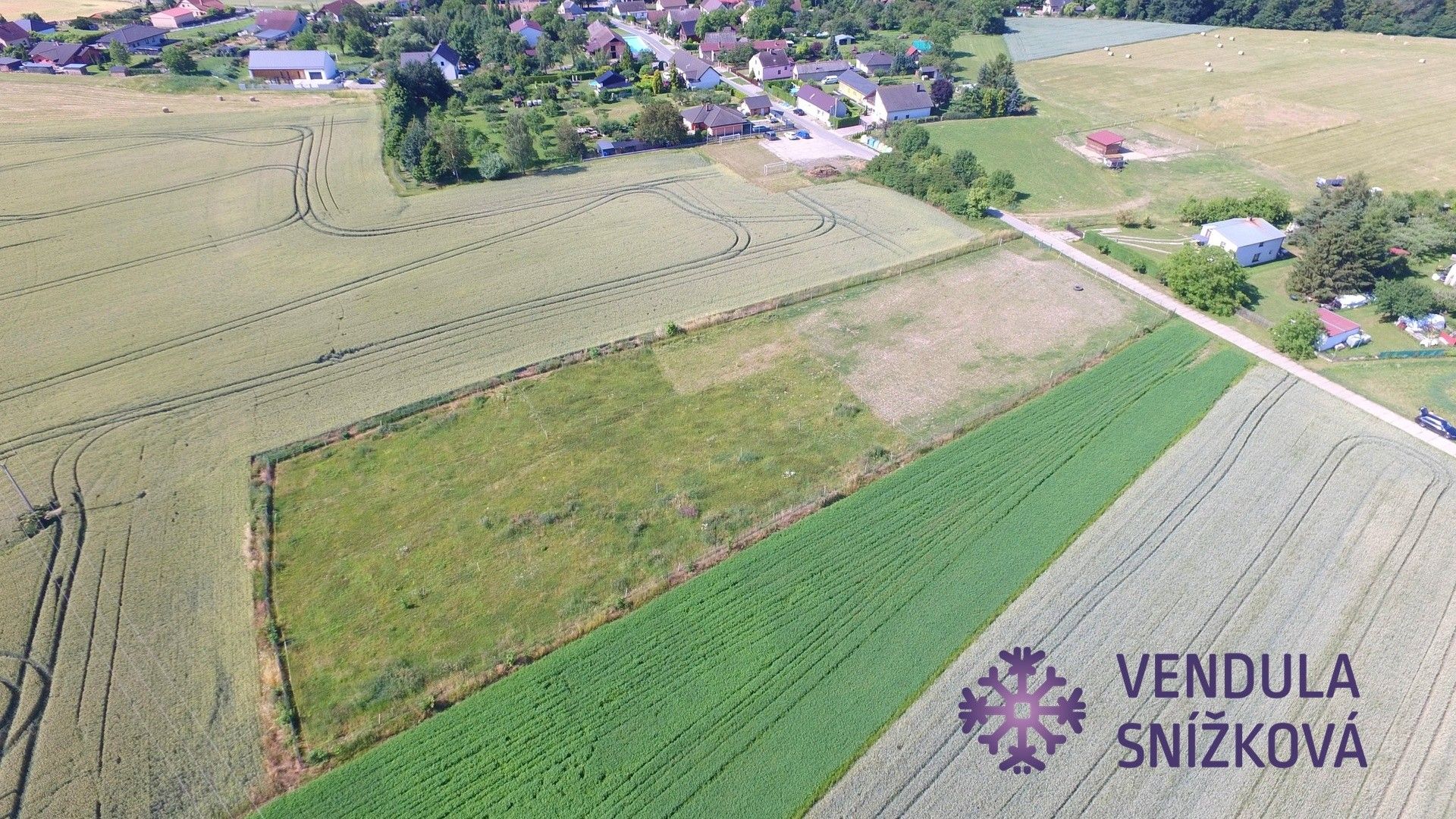 Zemědělský pozemek · 5 343 m² · Chloumek, Dobrovice - 4