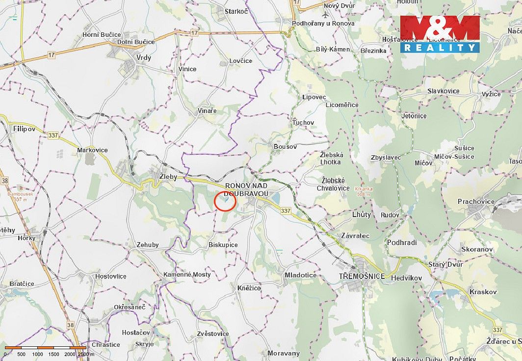 Les · Ronov nad Doubravou, okres Chrudim, Pardubický kraj - 3