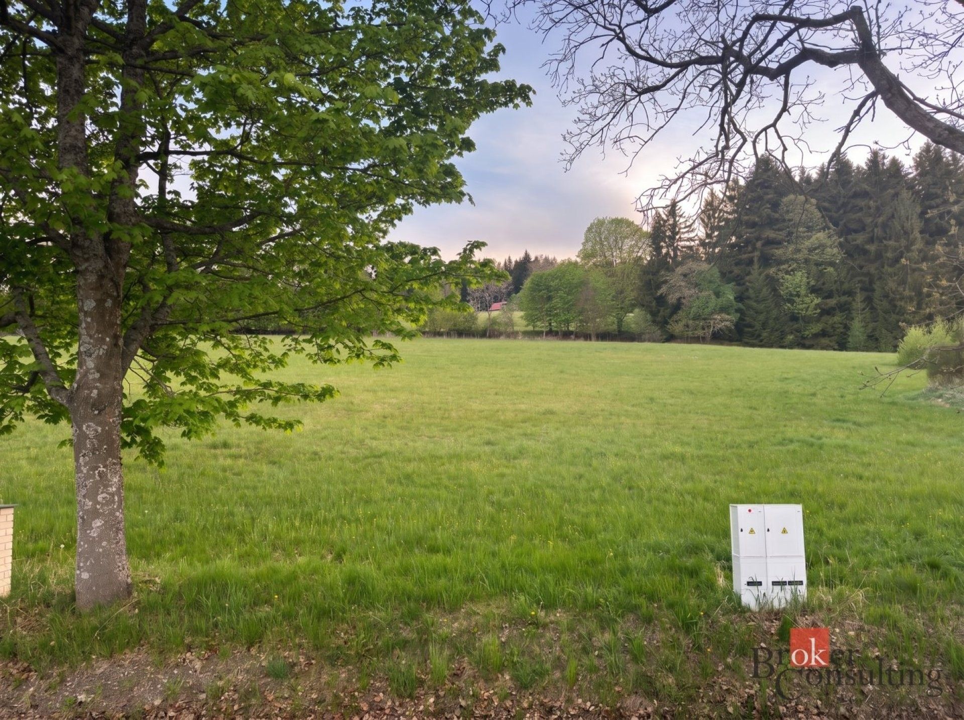 Prodej pozemek pro bydlení - Stachy, 2 133 m² - 5