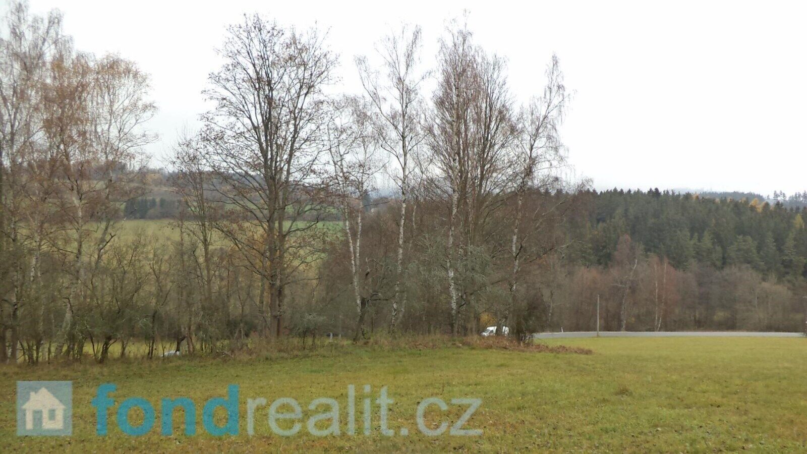 Zemědělský pozemek · 10 224 m² · Zdíkov Branišov - 3
