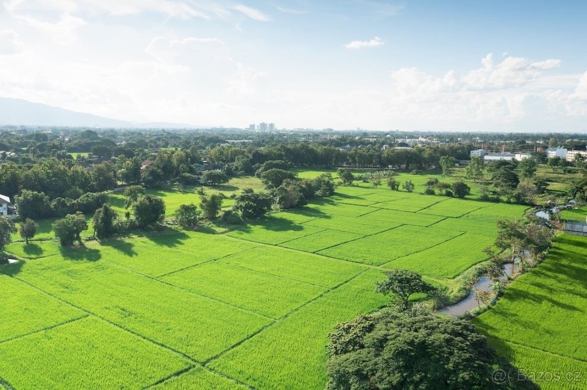 Pozemky pro bydlení, Přerov, 750 02
