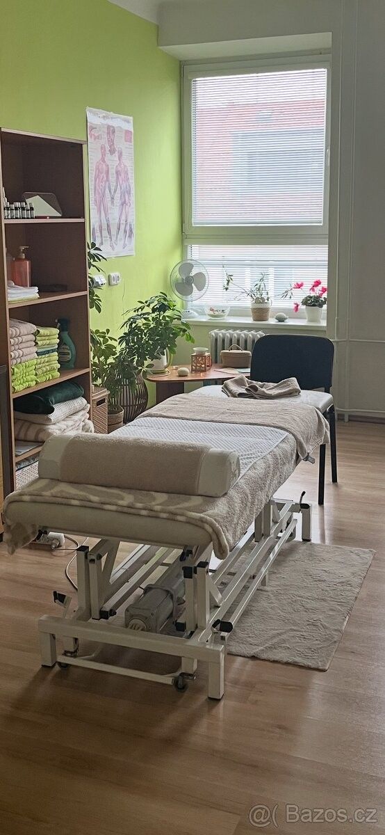 Obchodní prostory, České Budějovice, 370 01