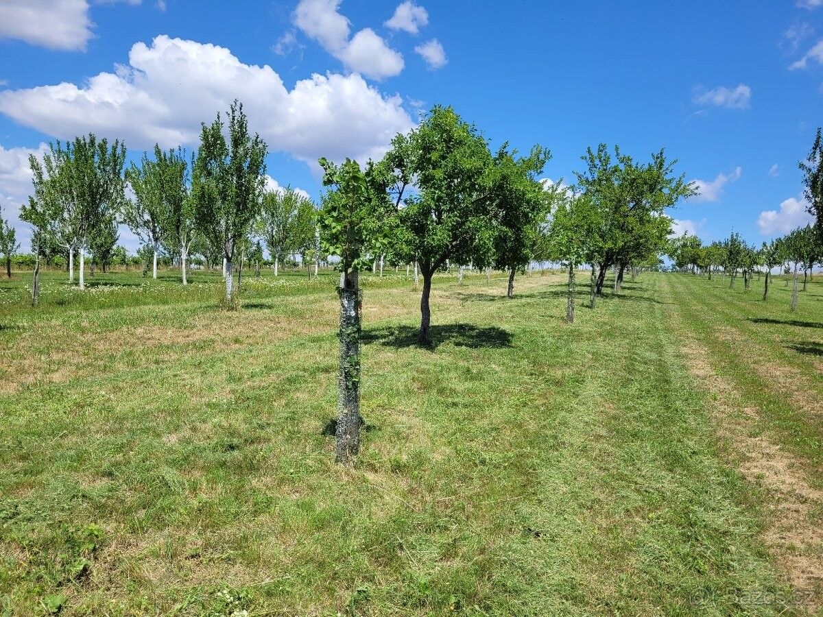 Prodej pozemek pro bydlení - Lipov, 696 72 - 5