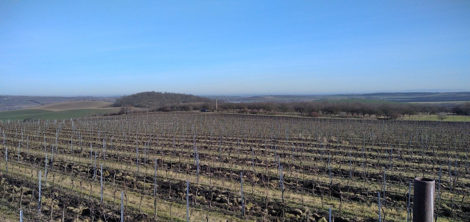 Pozemek · 20 000 m² · Valtice Úvaly - 3