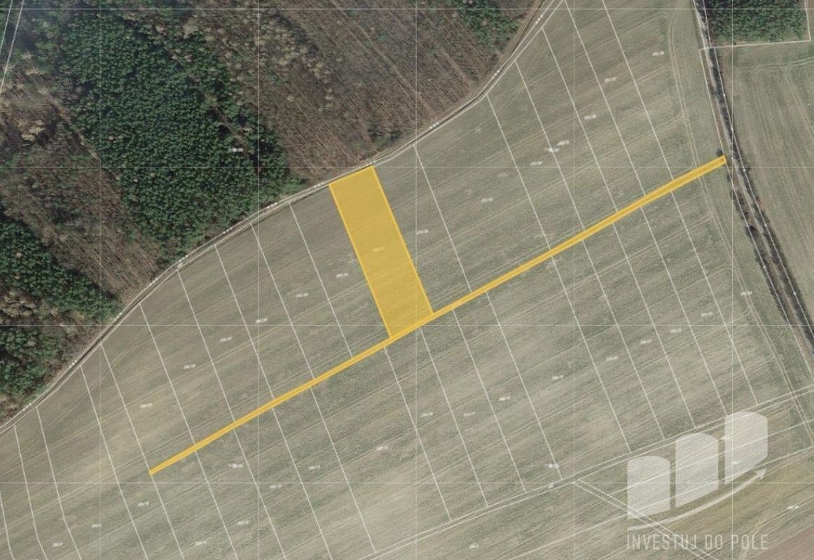 Prodej zemědělský pozemek - Slabce, 270 41, 2 976 m²