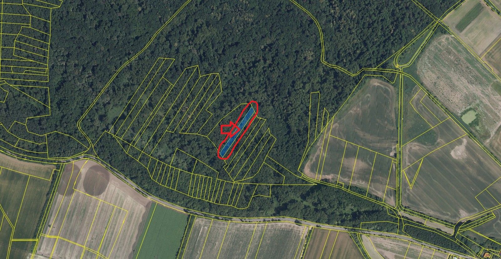 Prodej les - Přerov nad Labem - Drnovice, okres Nymburk, Středočeský kraj - 5