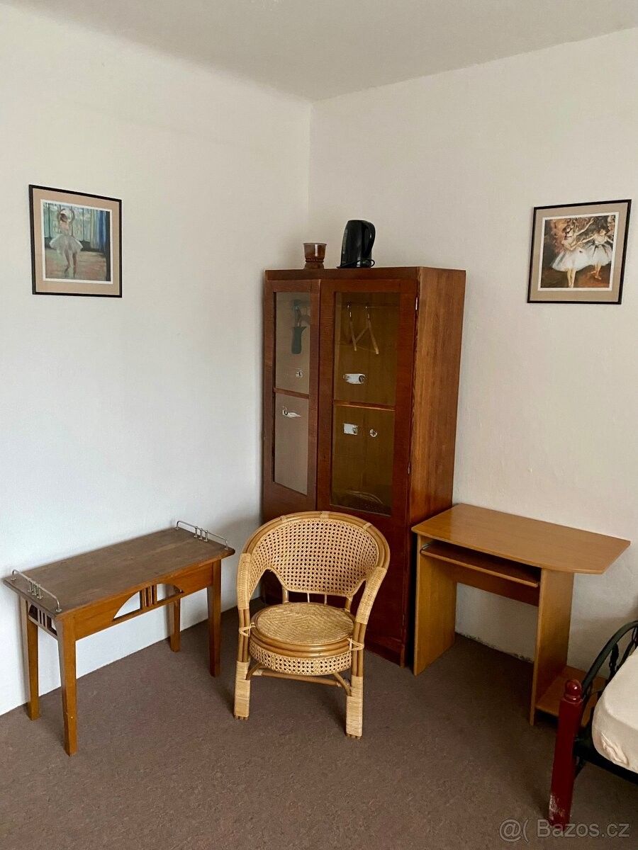 Pronájem rodinný dům - Říčany u Prahy, 251 01