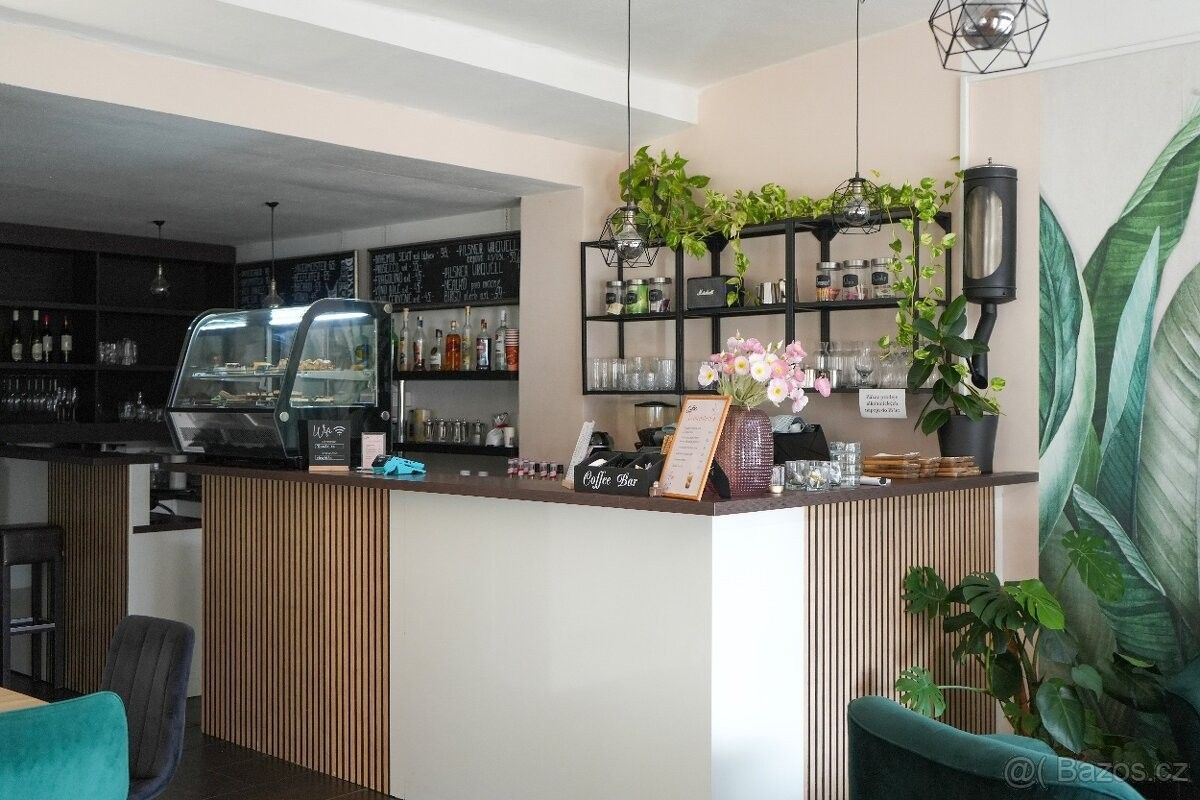 Restaurace · Ostrava, 708 00 - 3