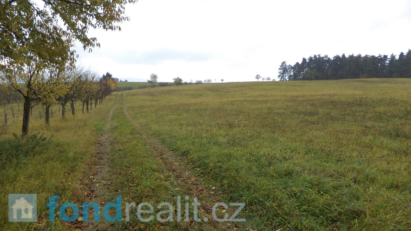Prodej zemědělský pozemek - Vlachovice, 6 246 m²