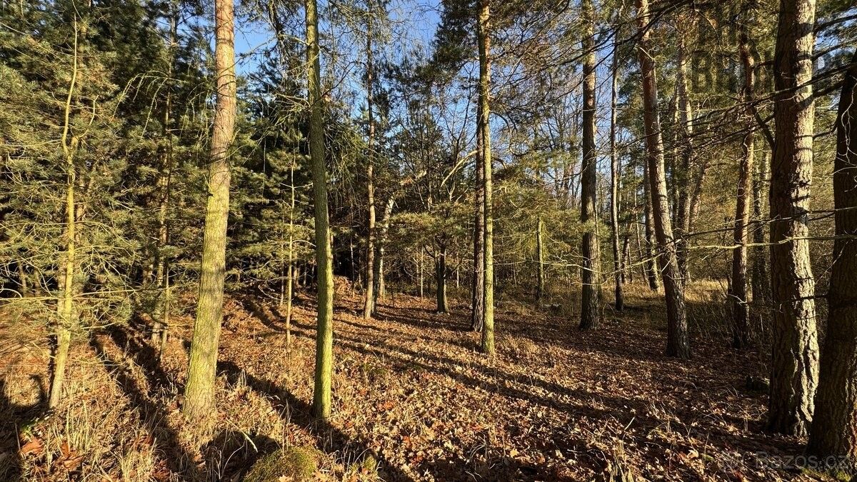 Prodej pozemek pro bydlení - Pardubice, 530 02