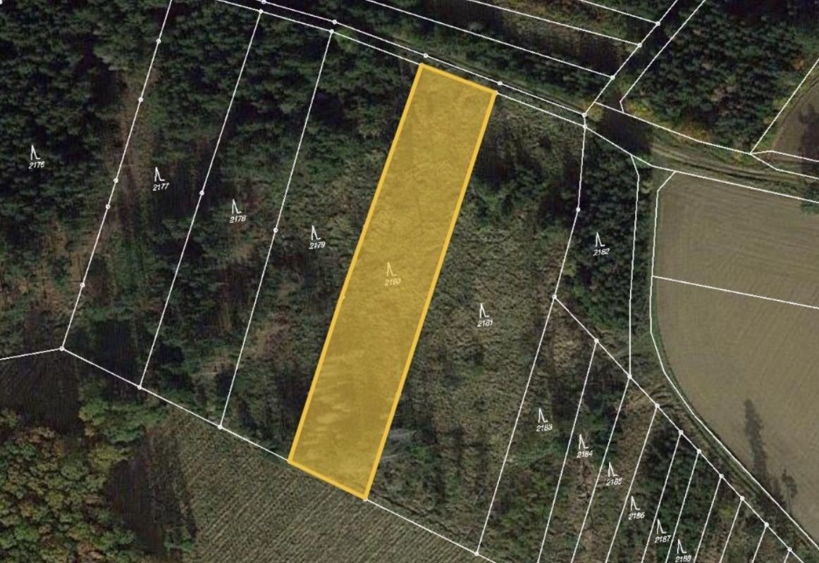 Lesy, Budkov, 3 101 m²