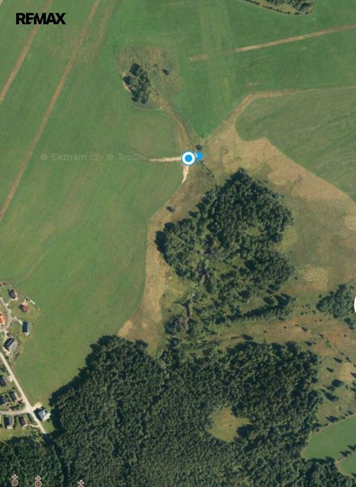 Les · Borová Lada, okres Prachatice, Jihočeský kraj - 3