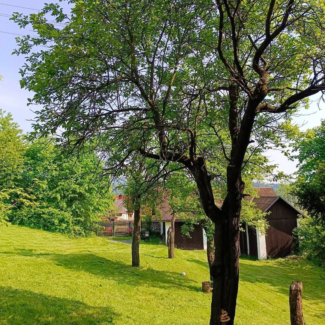 Chata · Vendryně - Vendryně, Moravskoslezský kraj - 3