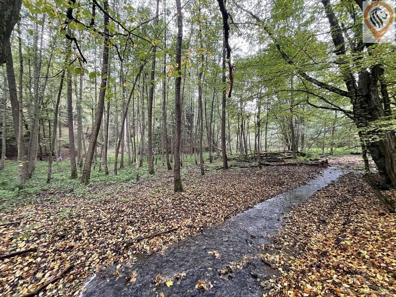 Prodej les - Svárov, okres Kladno, Středočeský kraj - 5