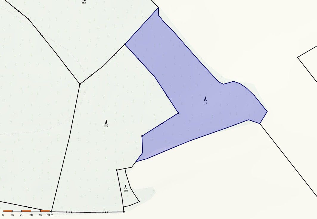 Pozemek pro bydlení · Blatná, 388 01 - 3