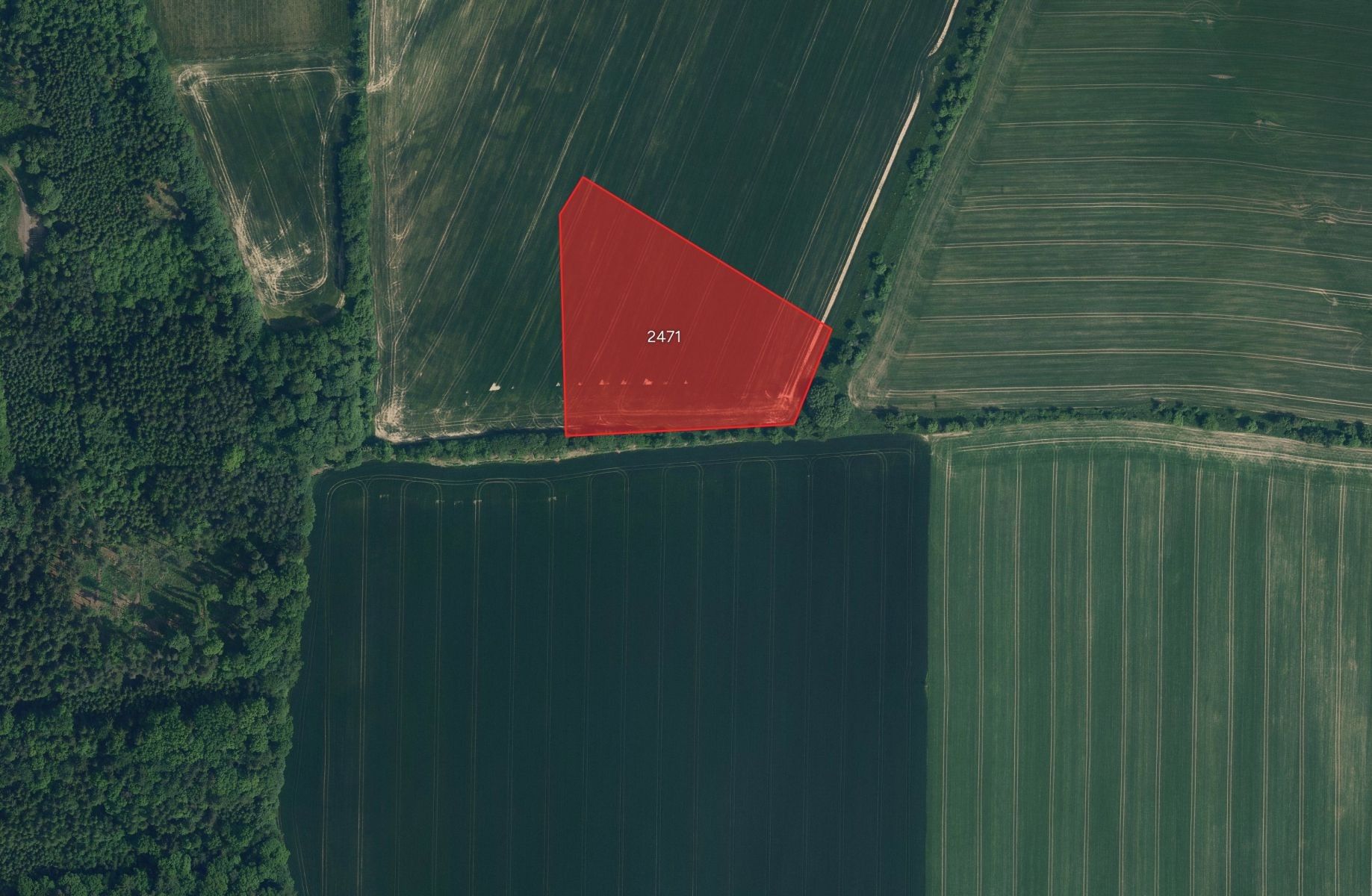 Zemědělské pozemky, Jenišovice