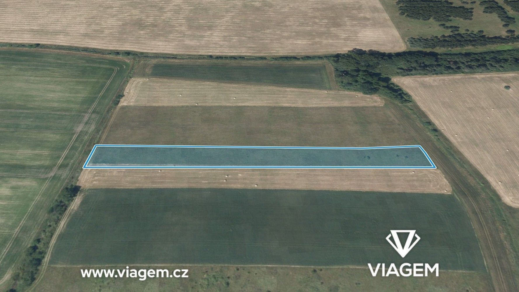 Prodej zemědělský pozemek - Libice nad Cidlinou, okres Nymburk - 2