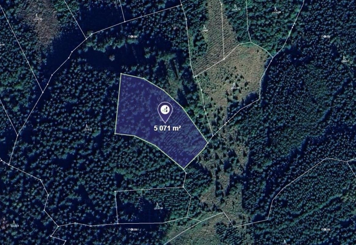Lesy, Hovězí, 5 071 m²