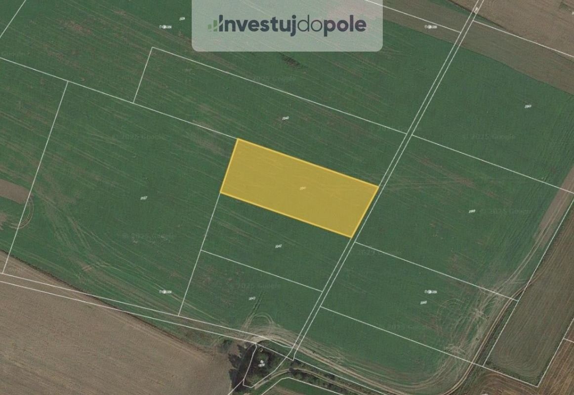 Prodej zemědělský pozemek - Horní Lukavice, 4 497 m²