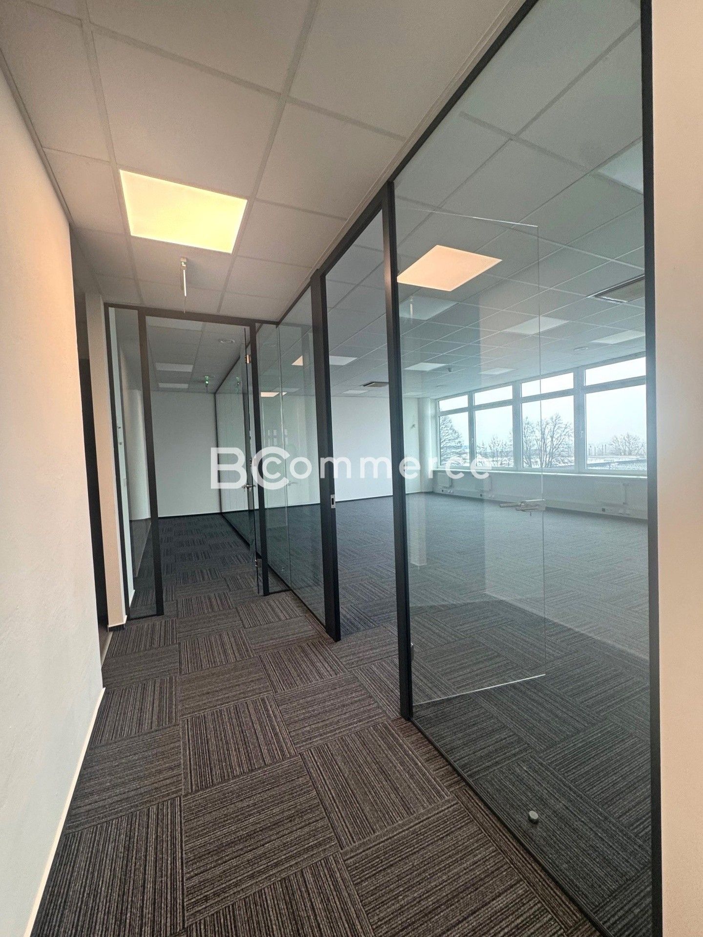 Kanceláře, Vídeňská, Brno, 175 m²