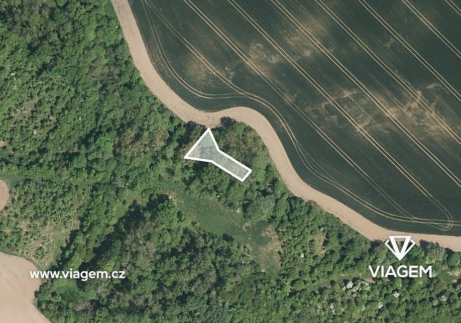 Zemědělské pozemky, Hoštice, okres Kroměříž, Zlínský kraj