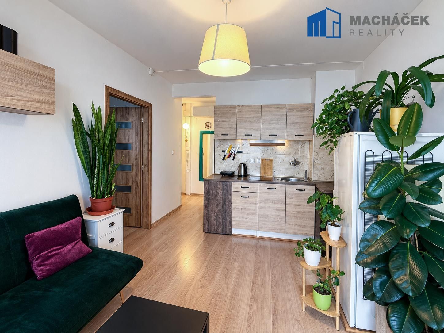 2+kk, Maršovská, Teplice Trnovany, 38 m² - 2