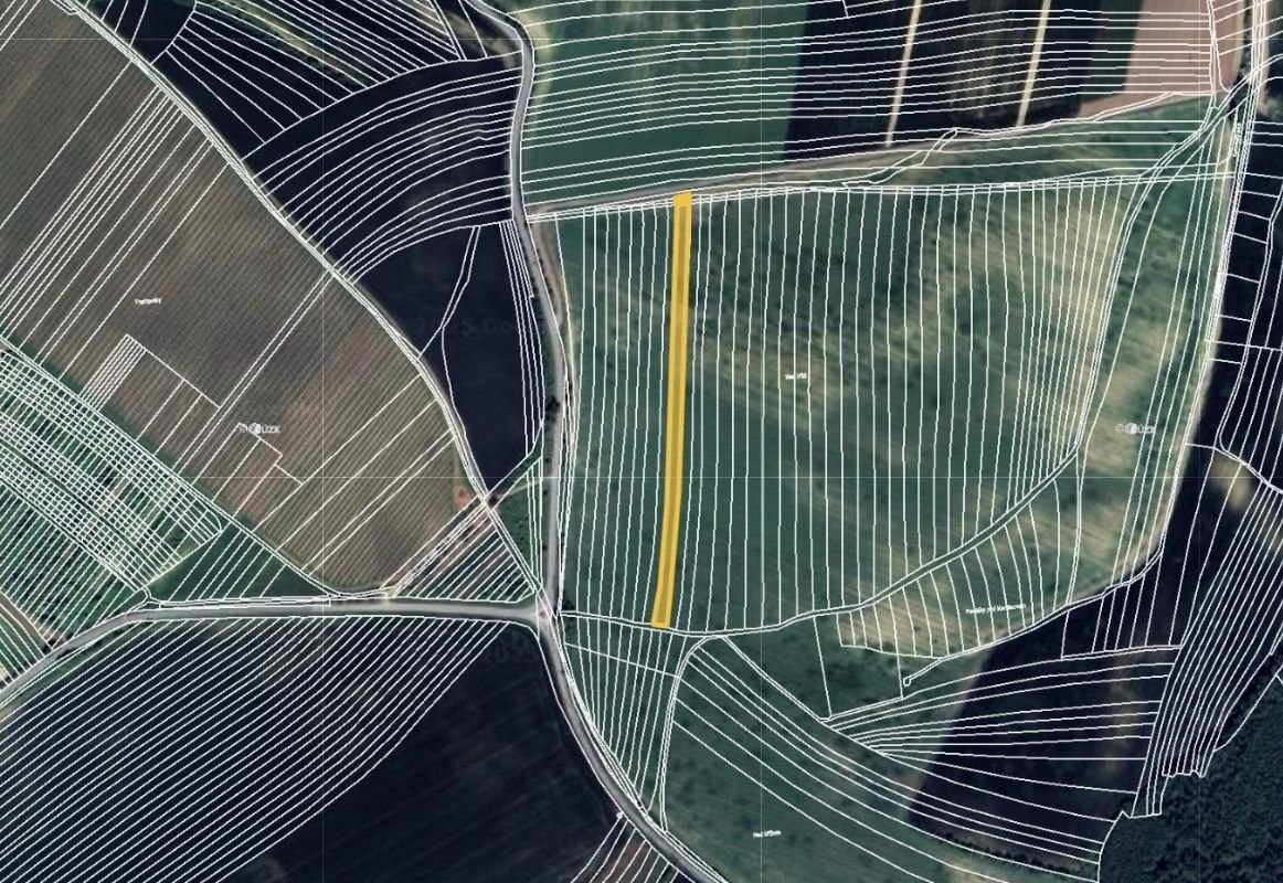 Zemědělské pozemky, Boleradice, 3 992 m²