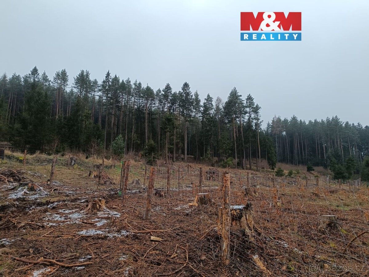 Pozemky pro bydlení, Čestice, 387 19