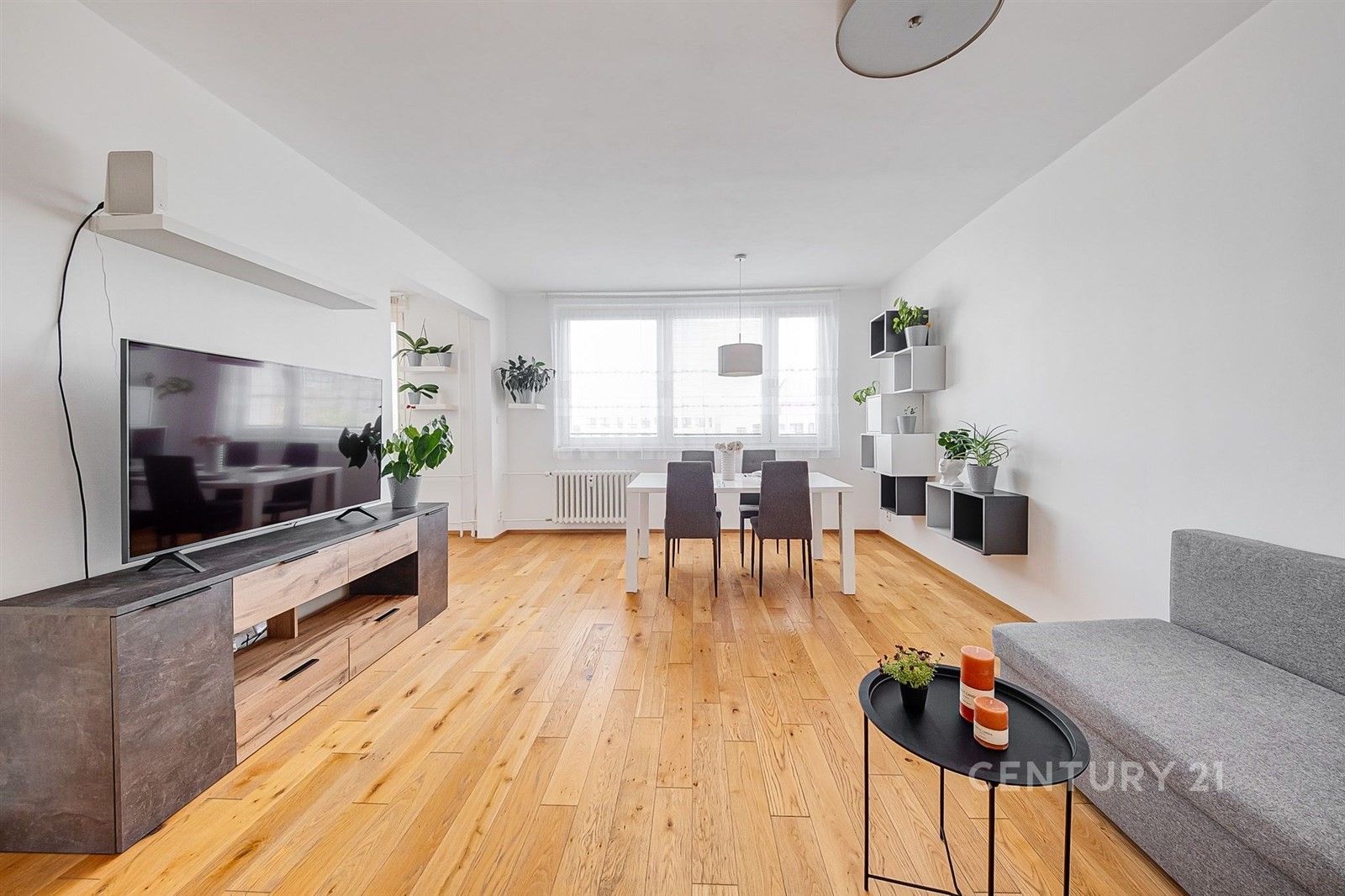 3+1, Wassermannova, Praha, 69 m²