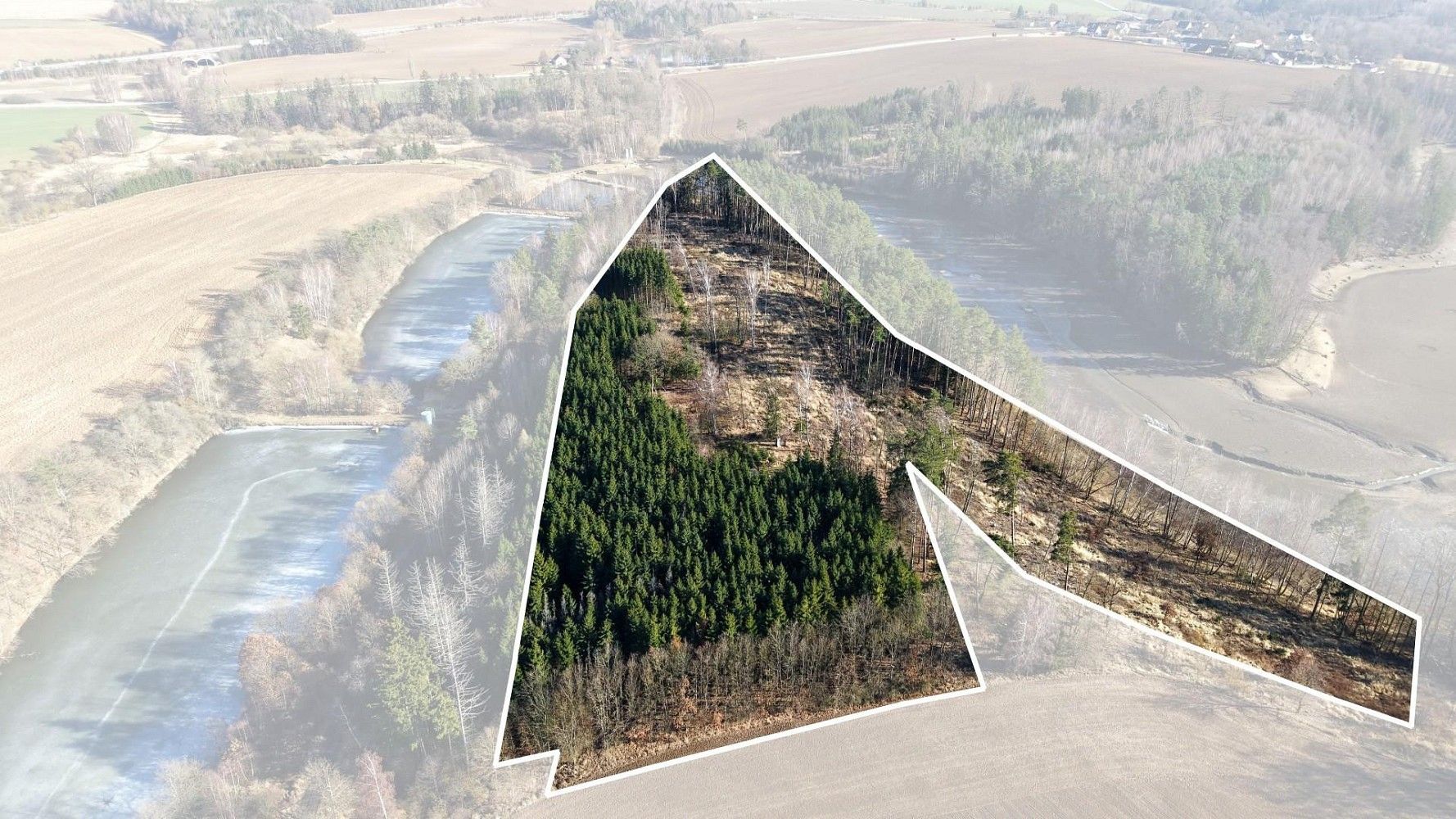 Prodej les - Chotoviny - Liderovice, okres Tábor, Jihočeský kraj - 1