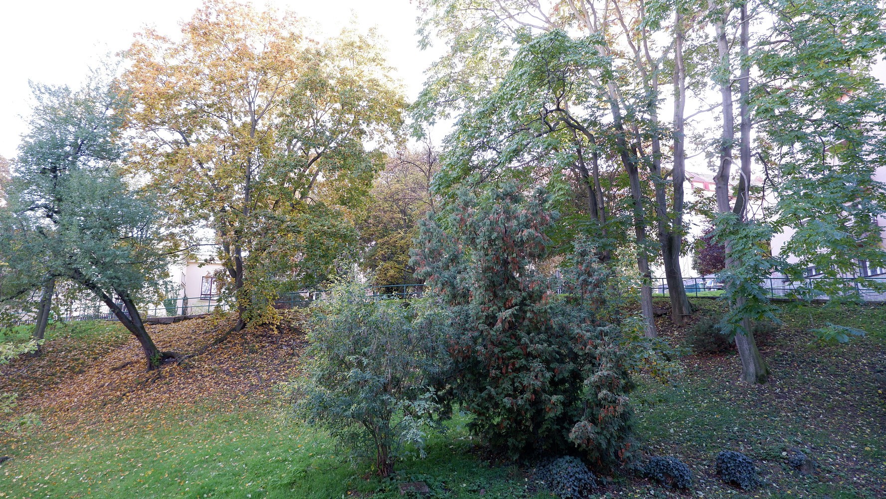 Byt 2+1 · 53 m² · Boleslavova, Praha 4 - Nusle - 4