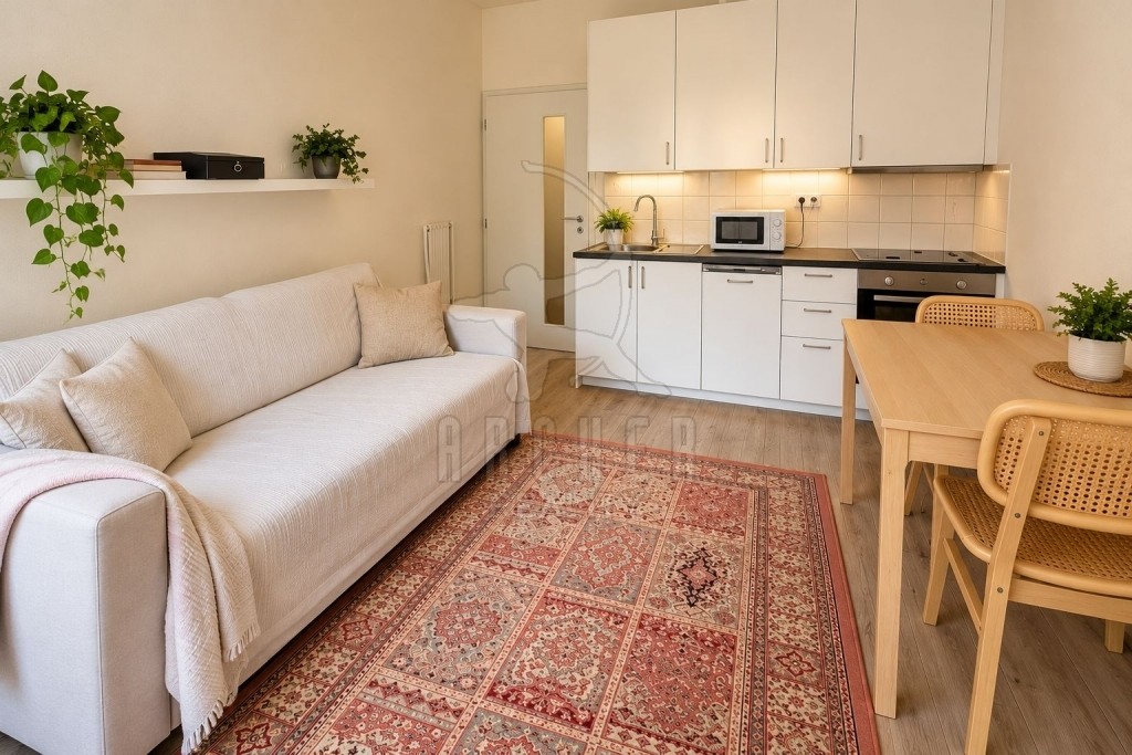 Prodej byt 1+1 - Vacínova 1848, Praha Libeň, 42 m² - 2
