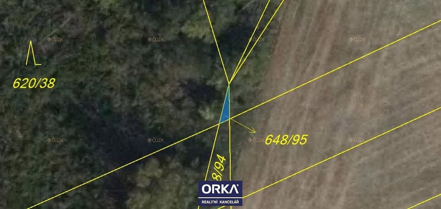 Prodej les - Otinoves, okres Prostějov, Olomoucký kraj - 5