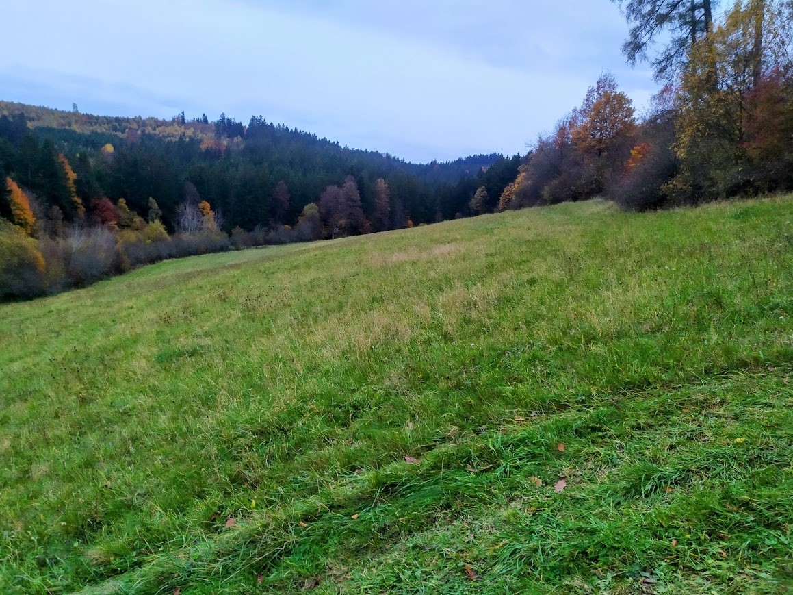 Pozemek pro bydlení · Valašská Polanka, 756 11 - 3