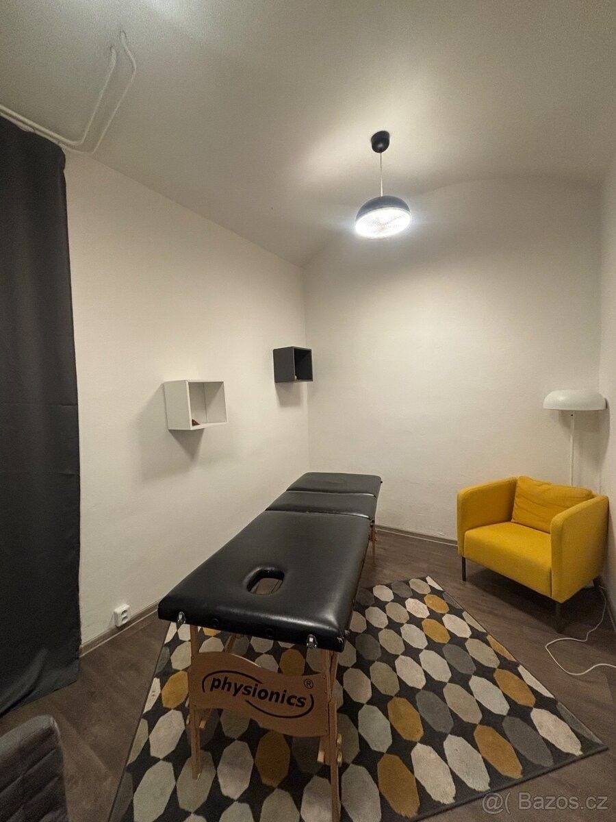 Pronájem ostatní - Praha, 186 00