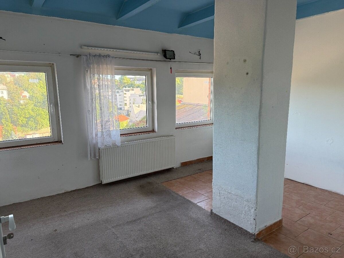 Prodej rodinný dům - Mladá Boleslav, 293 01 - 5