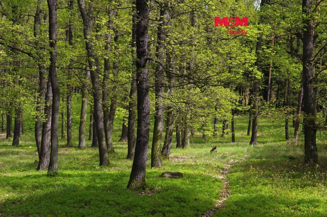 Pozemky pro bydlení, Bystřice nad Olší, 739 95