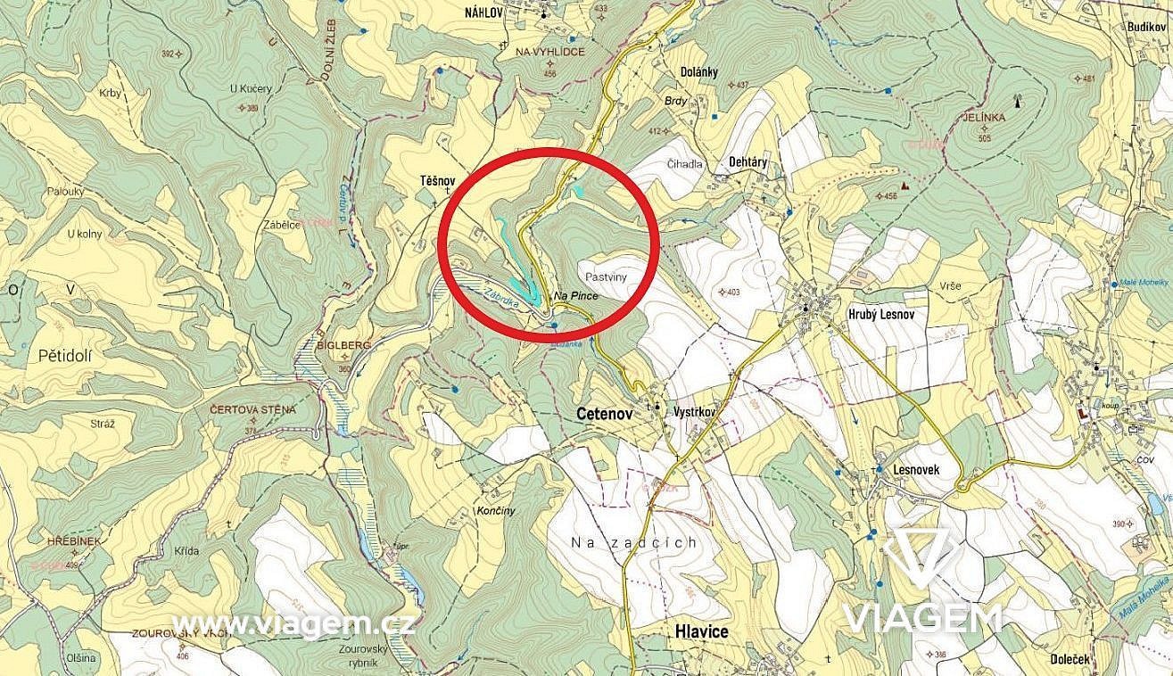 Les · Cetenov, okres Liberec - 3