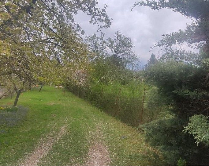 Zahrada · Rozdrojovice, okres Brno-venkov, Jihomoravský kraj - 2