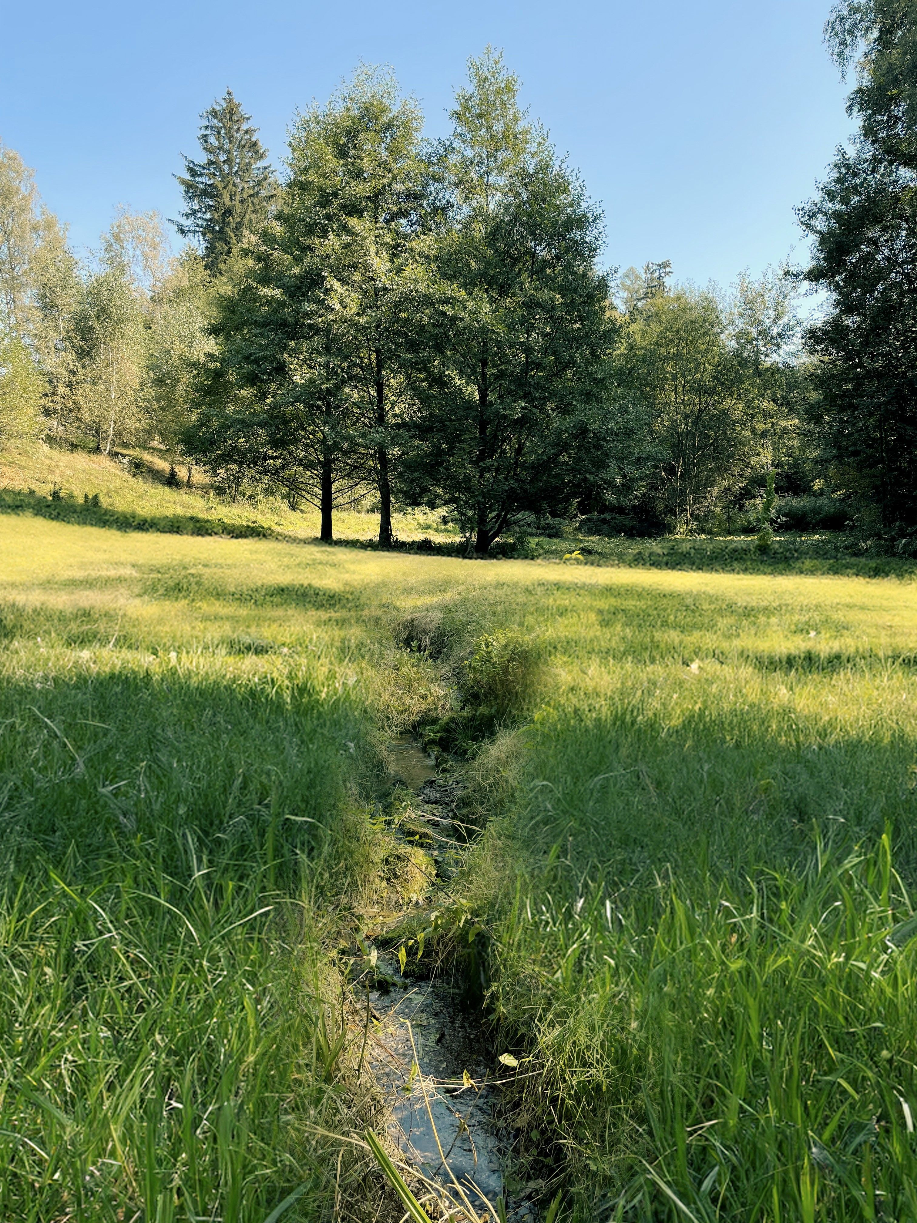 Zahrada · 6 838 m² · Výprachtice - 3