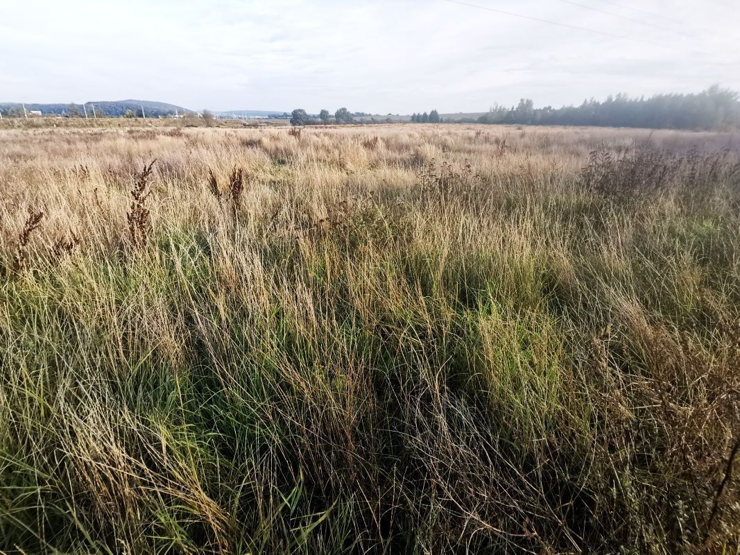 Pozemky pro bydlení, Plzeň, 1 m²
