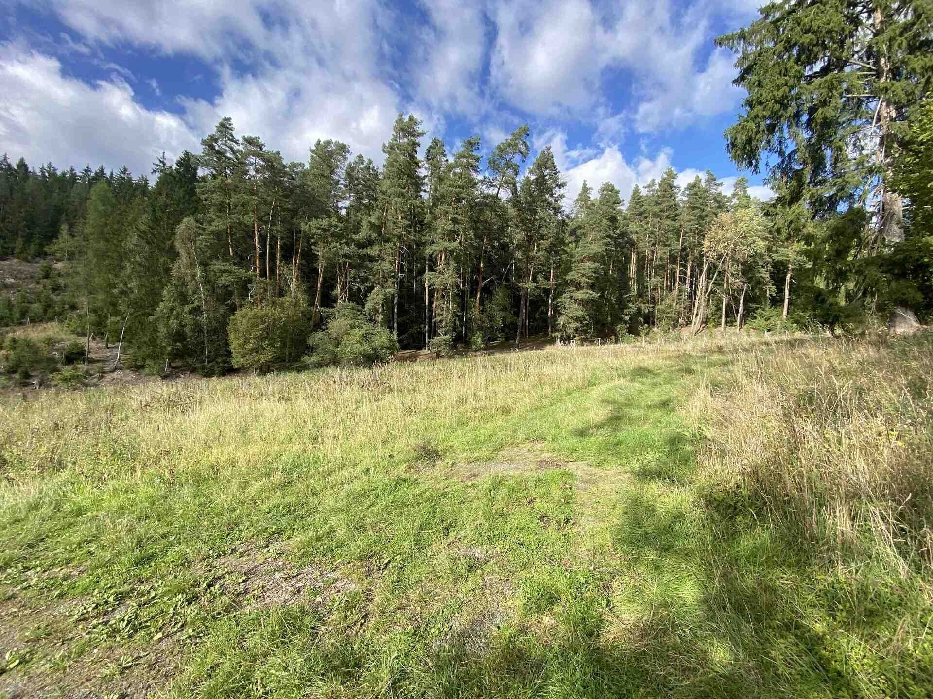 Zemědělské pozemky, Krsy, 7 068 m² - 2