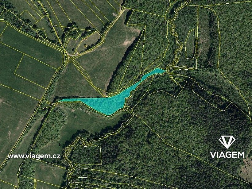 Prodej les - Bojkovice, okres Uherské Hradiště, Zlínský kraj - 5