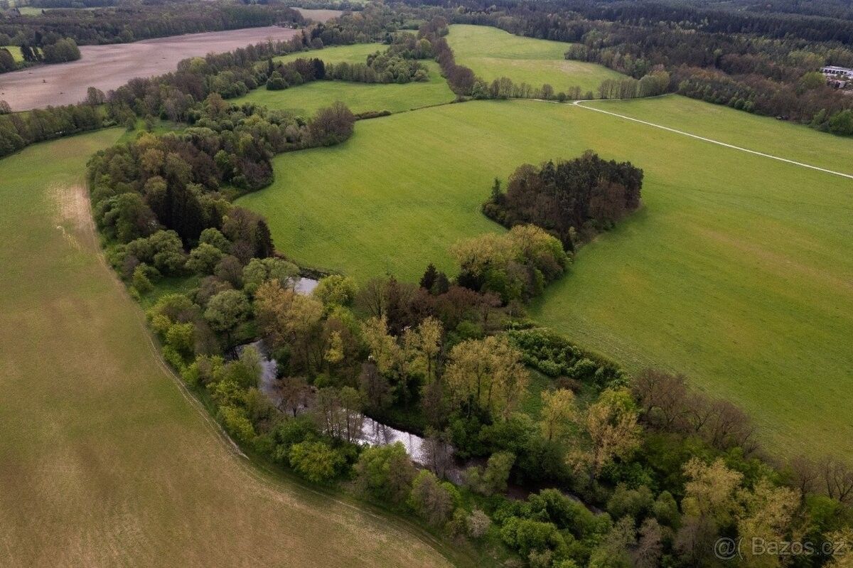 Lesy, Rychnov nad Kněžnou, 516 01, 7 342 m²