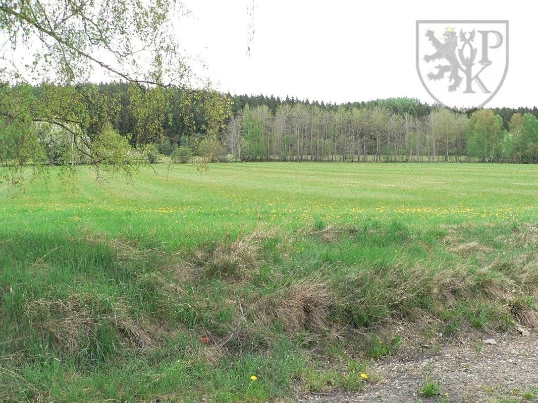 Pozemek pro bydlení · 9 853 m² · Stachy - 4